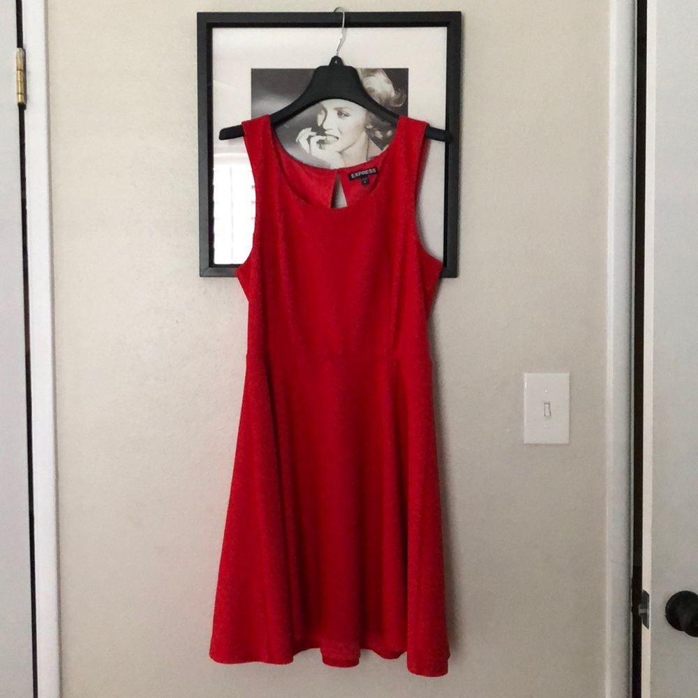 Express Dress Size Medium